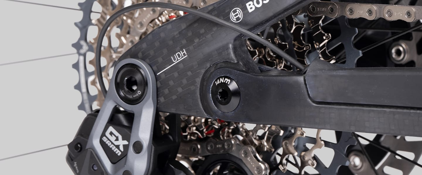 UDH derailleur hanger